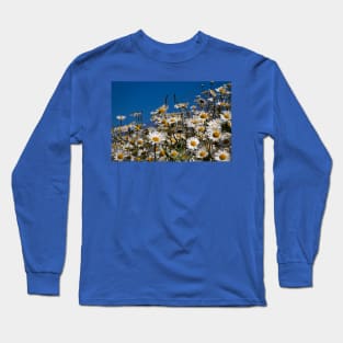 Blue sky and daisies Long Sleeve T-Shirt